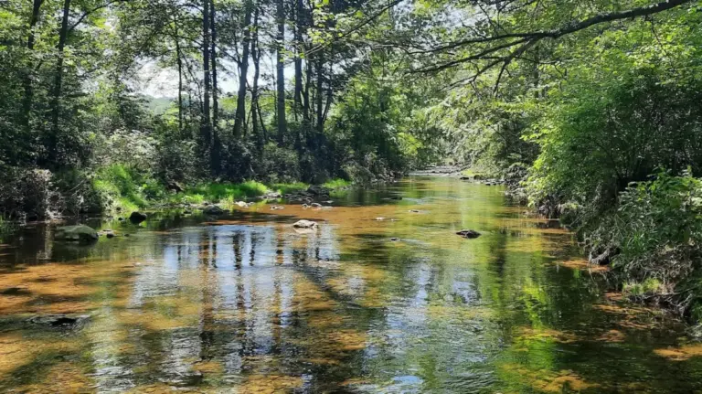 Between Gettysburg And Wilmington Is Pennsylvania’s Scenic Nature Preserve With Fishing, Hiking, And Wildlife