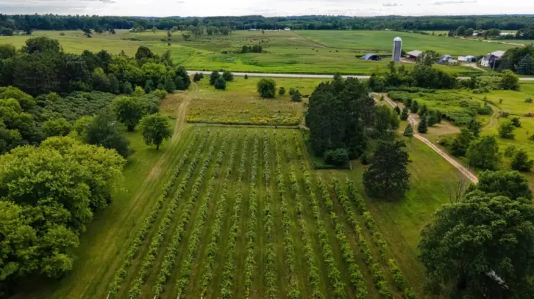 Beyond the Coast: How the Driftless Area is Rewriting the American Wine Narrative