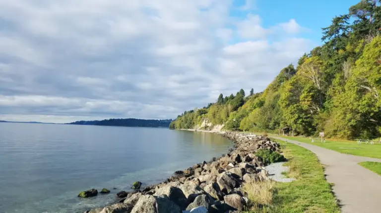 Beyond the Crowds: The Hidden Coastal Magic and Ecological Revival of Washington’s Saltwater State Park