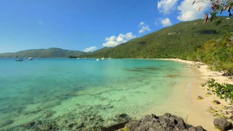 Beyond the Crowds: Why Brewers Bay is St. Thomas’s Ultimate Anti-Resort Sanctuary