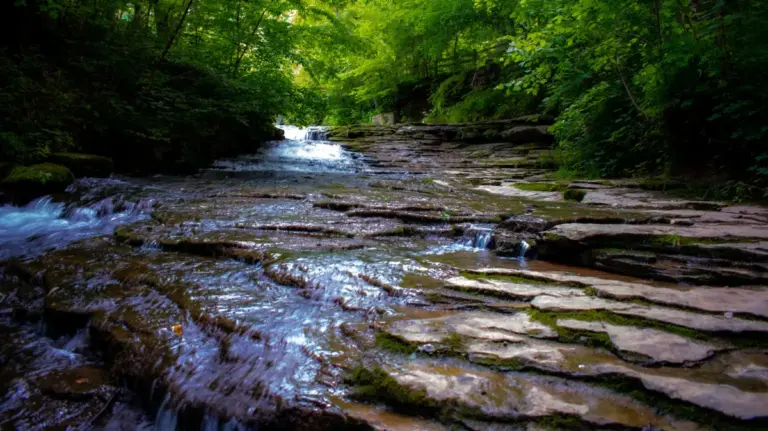 Beyond the Gold and Bluegrass: Uncovering the Deep History, Military Roots, and Natural Splendor of Radcliff, Kentucky