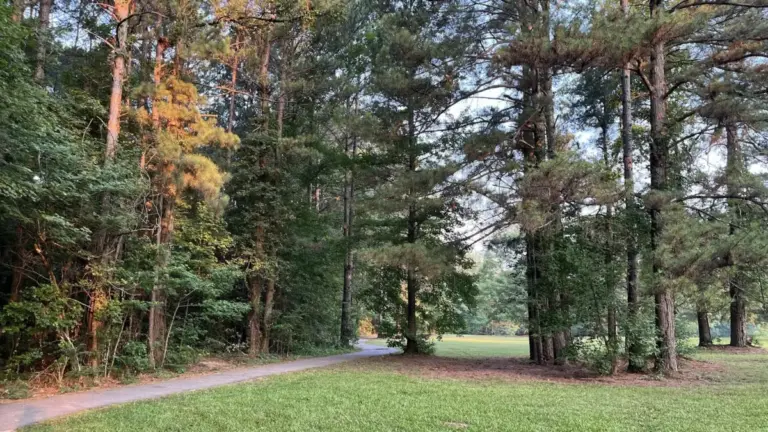 Beyond the Ozarks: Uncovering the Suburban Renaissance and Culinary Evolution of Bryant, Arkansas