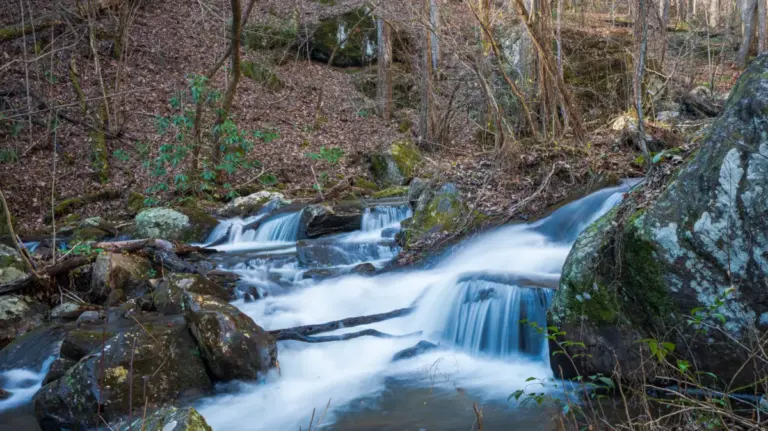 Beyond the Sunshine State: Why Georgia’s White County and the Alpine Village of Helen Are Redefining Retirement and Travel