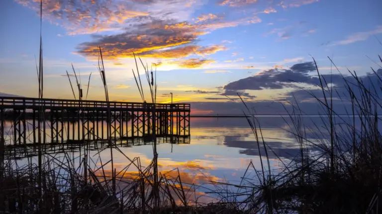 Beyond the Sunshine State: Why the East South Central Region is America’s Best-Kept Retirement Secret