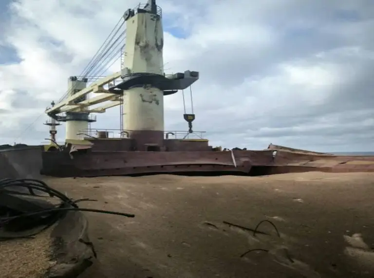 Black Sea Chokepoint: Russia Scrambles to Protect Grain Sector as Drone Warfare Paralyzes Critical Maritime Routes