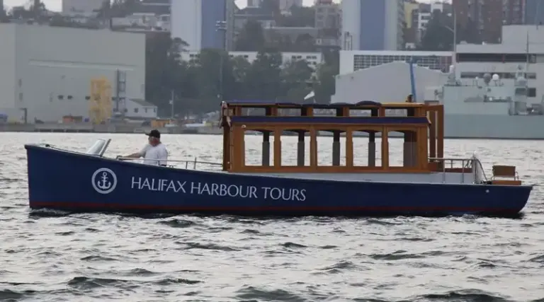 Bridging Waters: How an Indian Solar Pioneer Shipped an Electric Limo 12,700 Kilometers to Canada