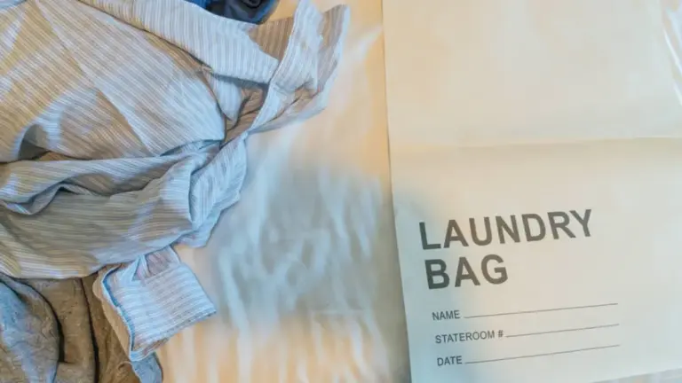 Carnival Cruise Line’s Loyalty Program Overhaul: Decoding the New Platinum and Diamond Laundry Perks and the Critical Opt-In Deadline