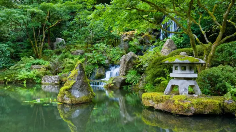 Cultivating Tranquility: An Authoritative Exploration of America’s Most Gorgeous Japanese Gardens