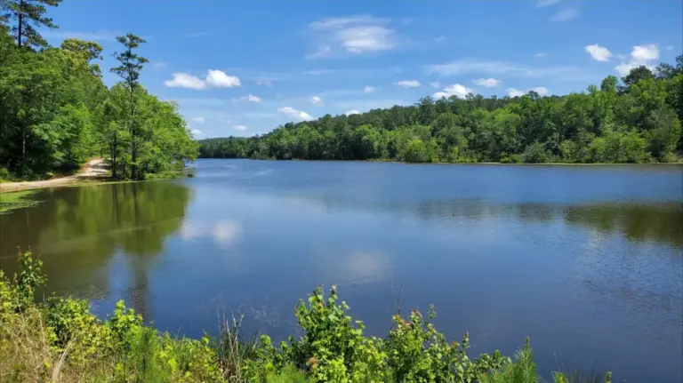 Discovering Alabama’s Best-Kept Secret: The Timeless Appeal of Paul Grist State Park