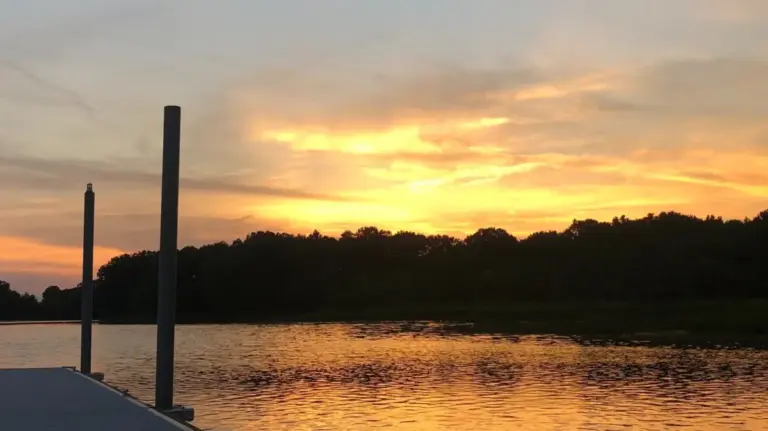 Discovering Alabama’s Hidden Wilderness: An In-Depth Exploration of Roland Cooper State Park