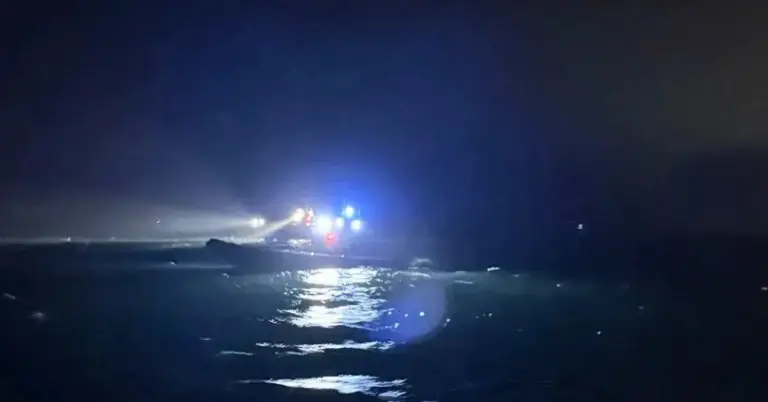 Fatal Hakefjord Collision: Swedish Prosecutors Charge Cargo Ship Master and Pilot in Rare Maritime Prosecution