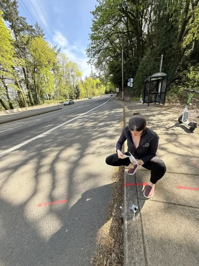 Hidden in Plain Sight: How Tire Wear Particles Threaten Ecosystems—and Why Green Infrastructure May Be Our Best Defense