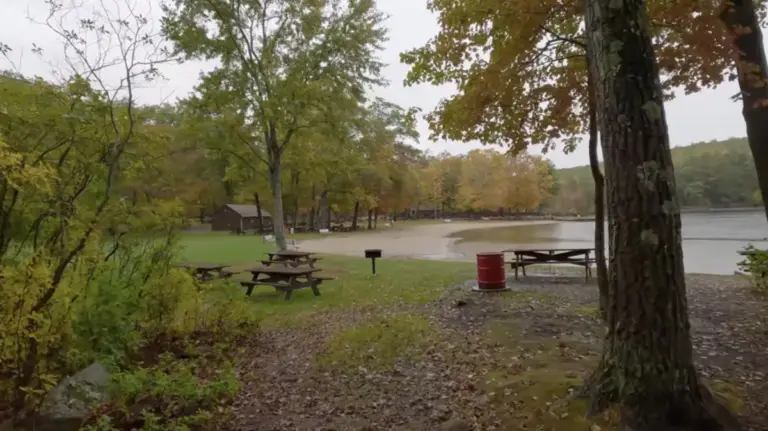 Hidden in Plain Sight: The Ecological, Recreational, and Geopolitical Significance of Douglas State Forest