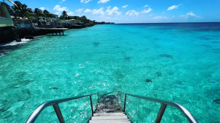 New Leadership at Bellafonte Bonaire: Britt Thomassen Takes the Helm as the Island’s Boutique Sector Evolves