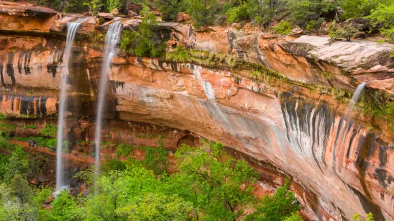 Opening New Horizons: Zion National Park Sets a New Standard for Outdoor Accessibility with All-Terrain Wheelchair Initiative