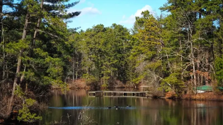 Sanctuary in the Pines: Inside New Jersey’s Busiest Wildlife Rehabilitation and Nature Haven