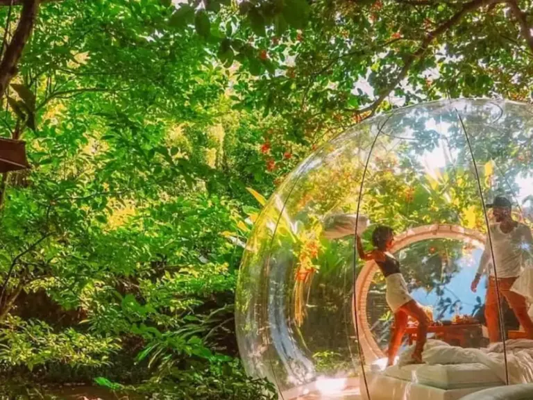 Sleeping Beneath the Canopy: Inside Martinique’s Ultra-Exclusive Bubble Retreat, Le Domaine des Bulles