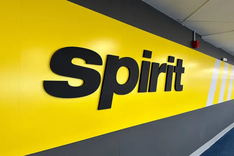 Tech Titan’s Strategic Sweep: Google Secures Decades of Spirit Airlines Data in Landmark $10 Million Bankruptcy Auction