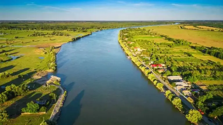 The Danube Bottleneck: Inside the Logistical Crisis Choking Ukraine’s Grain Exports