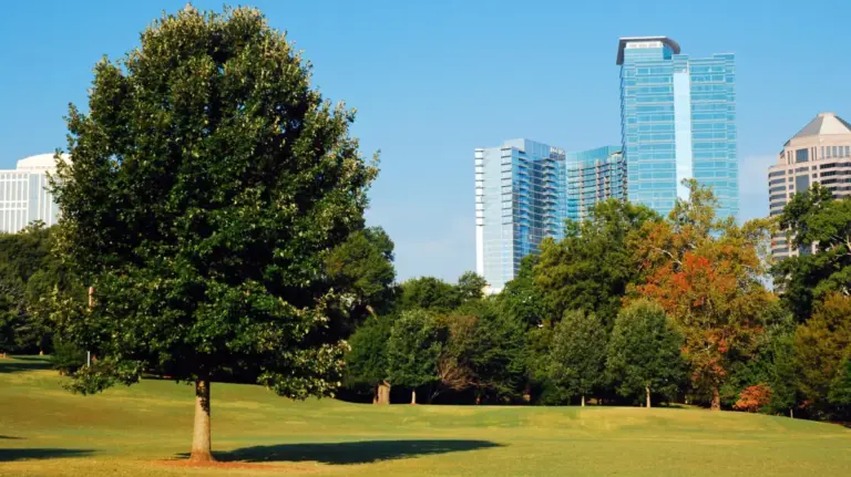 The Great Southern Migration: Why Grand Rapids Boomers Are Trading Midwest Winters for Atlanta’s Metropolitan Charm