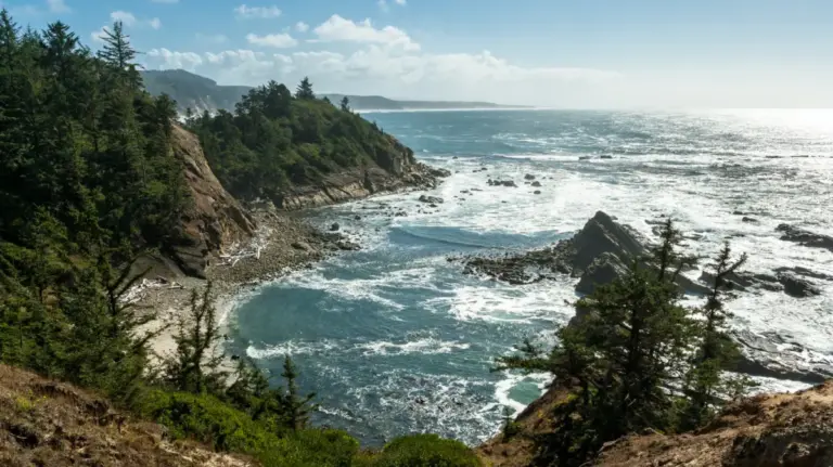The Pacific Northwest’s Best-Kept Retirement Secret: Why Coos County, Oregon, is Captivating Retirees