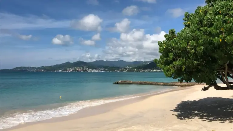 The Ultimate Caribbean Shoreline: An Authoritative Guide to Grenada’s Grand Anse Beach