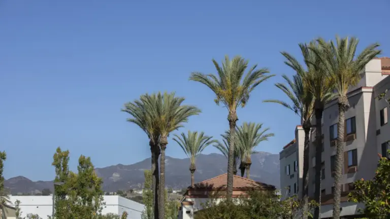 Uncovering Lake Forest: The Southern California Oasis Hiding in Plain Sight Between Los Angeles and San Diego