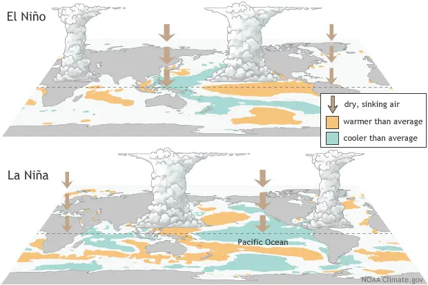 Understanding ENSO: The Dual-Phenomenon Driving Global Extreme Weather and Threatening Critical Ocean Research