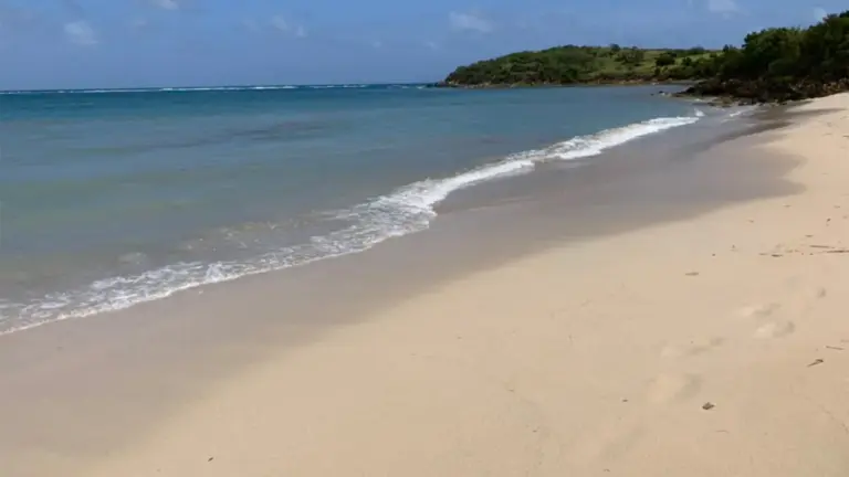 Untamed Paradise: Sandy Point National Wildlife Refuge Reopens Its Iconic Shores on St. Croix