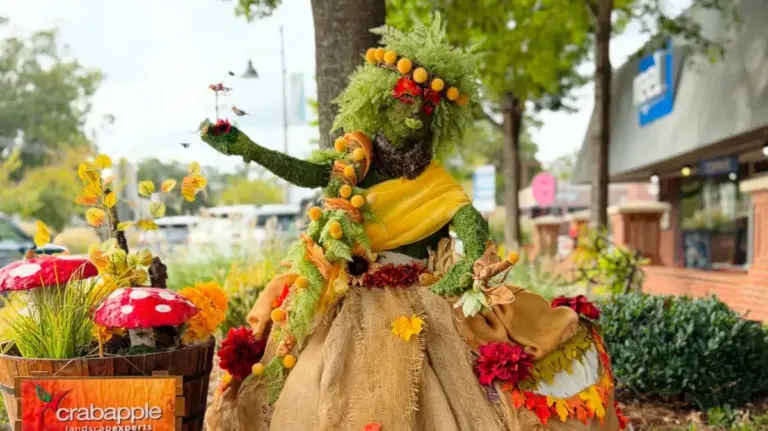 Beyond New England: Why Woodstock, Georgia Is America’s Rising Autumn Sanctuary