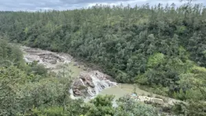 Beyond the Barrier Reef: Exploring the Untamed Majesty of Belize’s Mountain Pine Ridge Forest Reserve
