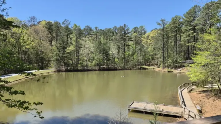 Beyond the Busiest Skies: How Bear Creek Nature Center Offers an Untamed Escape Right Outside Atlanta