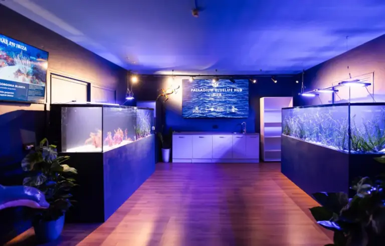 Beyond the Coral Reef: Inside Palladium Hotel Group’s Pioneering Ibiza Seagrass Restoration Initiative