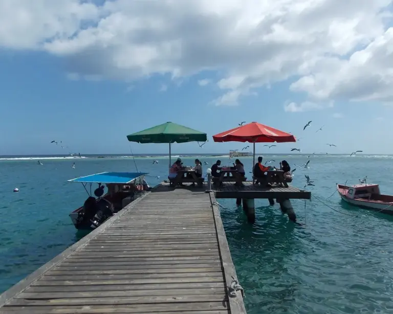 Beyond the High-Rises: Why Zeerovers Remains the Undisputed Heartbeat of Authentic Aruban Dining
