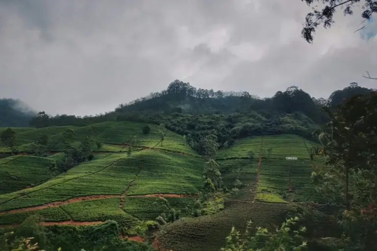 Beyond the Numbers: Sri Lanka’s Strategic Pivot Toward High-Value Tourism