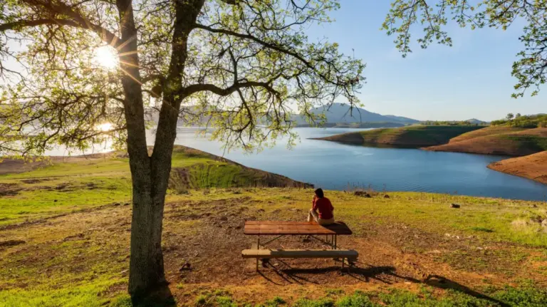 Beyond the Pines: Why California’s San Luis Reservoir is Outshining Lake Tahoe for Off-the-Grid Recreation