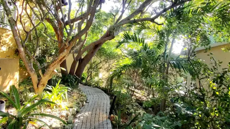 Beyond the Shoreline: How Kokomo Botanical Resort is Redefining the Turks and Caicos Experience