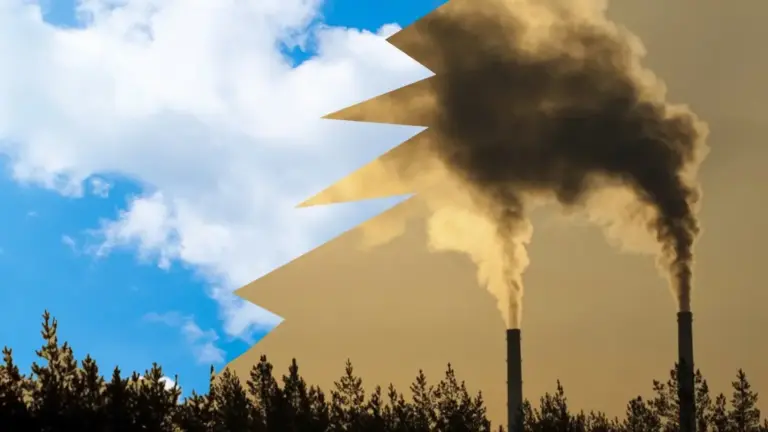 Breathing Room: How Clean Air Is Quietly Revolutionizing Student Achievement in America