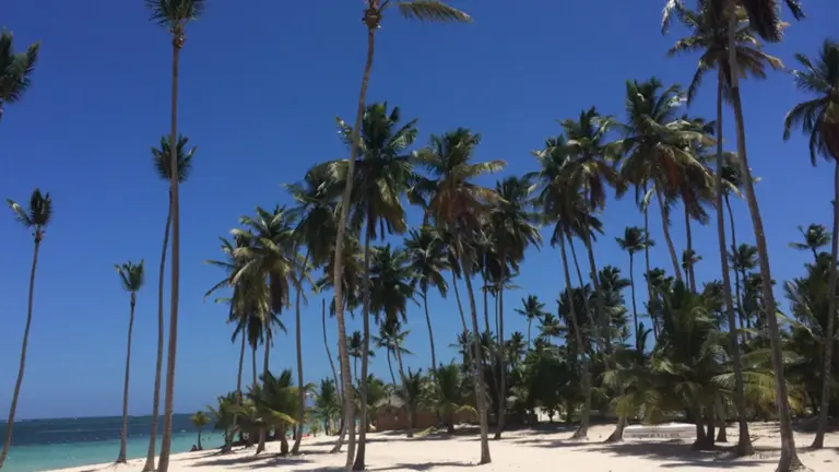 Canadian Tourism Surge Transforms the Dominican Republic’s Northern and Peninsular Landscapes for Winter 2026–2027