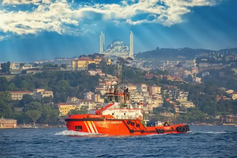 Disaster in the Sea of Marmara: Ten Crew Missing as Commercial Vessel Sinks Following Collision Off Istanbul
