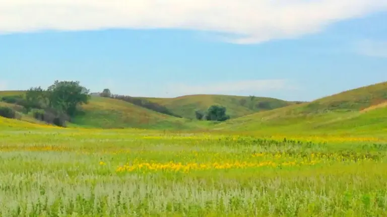 Discovering Arrowwood National Wildlife Refuge: North Dakota’s Untamed Prairie Sanctuary
