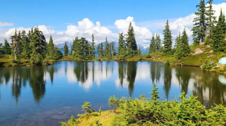 Discovering British Columbia’s Best-Kept Alpine Secret: An In-Depth Exploration of Sleeping Beauty Mountain Park