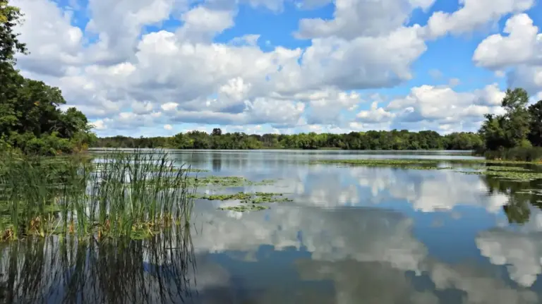 Discovering Cleary Lake Regional Park: Minnesota’s Ultimate Year-Round Lakeside Sanctuary