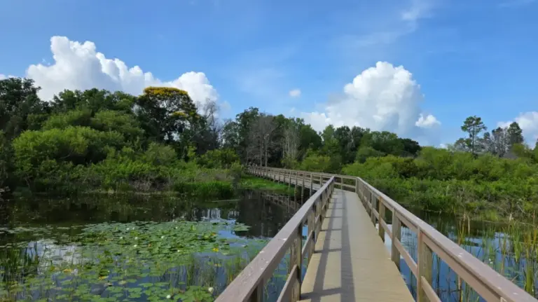 Discovering Florida’s Hidden Oasis: Inside the Transformation of Winter Haven’s South Lake Howard Nature Park