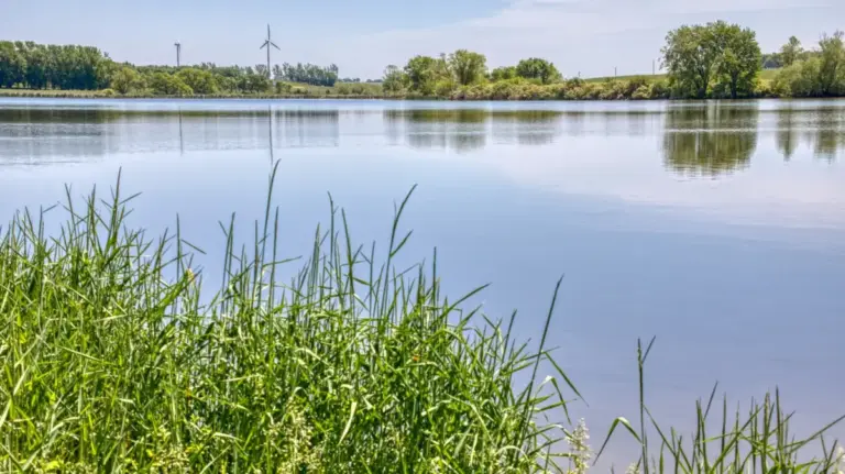 Discovering Southwest Minnesota’s Hidden Oasis: An In-Depth Look at Split Rock Creek State Park