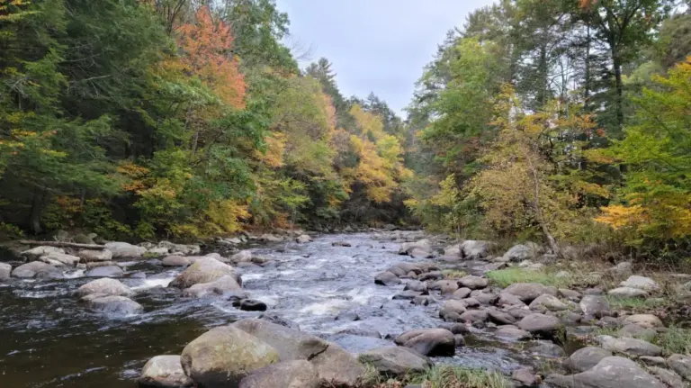 Discovering the Autumn Majesty of Western Massachusetts: Inside the History and Recreation of Sandisfield State Forest