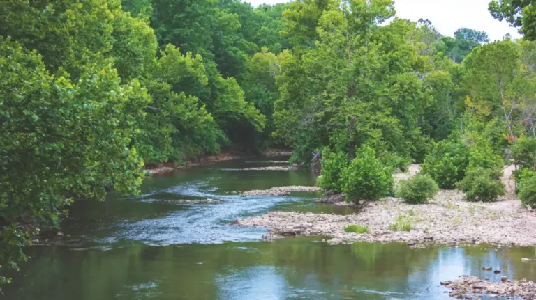 Discovering the Ozarks’ Hidden Waterway: A Comprehensive Guide to Missouri’s James River