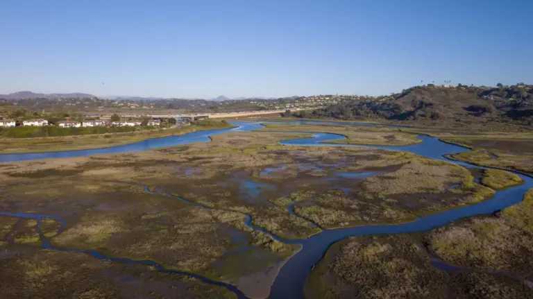 Discovering the San Elijo Lagoon Ecological Reserve: Southern California’s Crown Jewel of Wetland Conservation