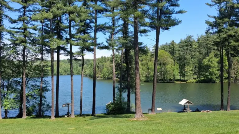 Discovering William H. Kain County Park: Southeastern Pennsylvania’s Premier Urban Nature Sanctuary