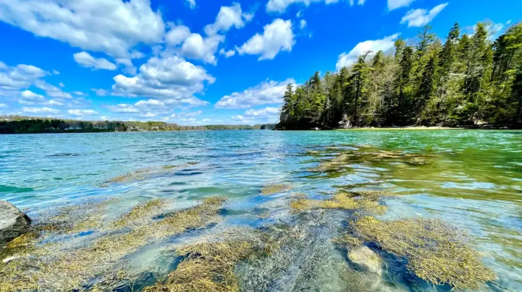 Discovering Wolfe’s Neck Woods State Park: Maine’s Ultimate Coastal Sanctuary